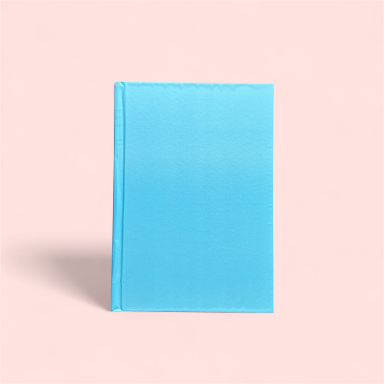 Sky Blue Diary